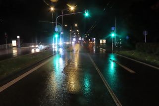 Policie hledá svědky smrtelné nehody mladé chodkyně u hradecké nemocnice - Novinky